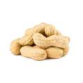 Commodity Nutmeats Commodity Roasted Unsalted In Shell Peanut 25lbs 202700
